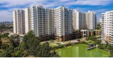 SNN Serenity Garden