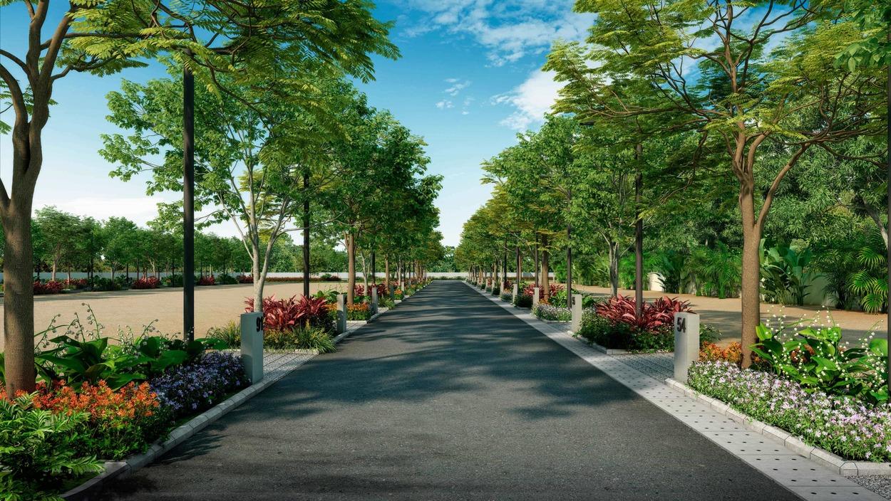 Apollo Address landscaped internal road and residential plots