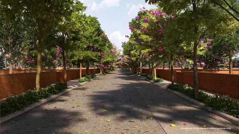 Total Environment Tangled Up In Green Devanahalli Bangalore